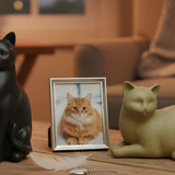 What Can I Do With My Cat’s Ashes? Meaningful Urn and Memorial Ideas - Funeral.com, Inc.