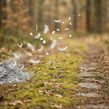 What Does Scattering Ashes Mean? Symbolism, Etiquette, and Ash-Scattering Ceremony Ideas - Funeral.com, Inc.