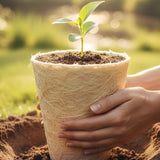 What Is A Biodegradable Urn, And How Does It Work? - Funeral.com, Inc.