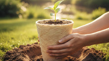 What Is A Biodegradable Urn, And How Does It Work? - Funeral.com, Inc.