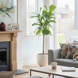 What Is an Urn Used For? A Gentle Guide to Modern Memorials - Funeral.com, Inc.