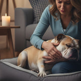 What Should I Do If My Pet Dies at Home?