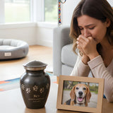 What to Do After a Pet Dies: A Gentle, Practical Guide for the First Hour, First Day, and the Days After - Funeral.com, Inc.