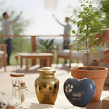 What to Do When Keeping a Pet’s Ashes Is Hard: Alternatives That Help - Funeral.com, Inc.