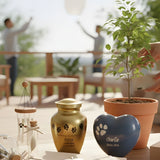 What to Do When Keeping a Pet’s Ashes Is Hard: Alternatives That Help - Funeral.com, Inc.