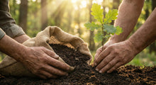 What to Do With the Soil After Human Composting (Natural Organic Reduction) - Funeral.com, Inc.