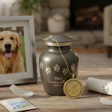 What to Do With Your Pet’s Ashes: Meaningful Memorial Ideas (Urns, Jewelry, Scattering & More) - Funeral.com, Inc.