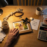 When You Couldn’t Afford Treatment: Coping with Financial Guilt After a Pet’s Death