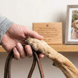 When You Inherit a Pet: Legal Responsibilities, Emotional Adjustments, and Planning Ahead