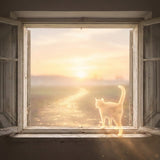 When Your Cat Passes Away: What to Do Next (Cremation, Ashes, and Memorial Ideas) - Funeral.com, Inc.