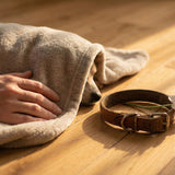 When Your Pet Dies at Home: What to Do Next, Practically and Emotionally - Funeral.com, Inc.