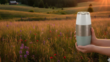 Where Can You Scatter Ashes in Georgia (2026)? Laws for Parks, Beaches, Private Land & Water - Funeral.com, Inc.