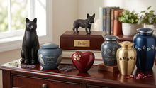 Where Do Animals Go When They Die? Finding Comfort, Meaning, and Healing After Pet Loss