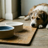 Why Your Surviving Pet’s Personality Might Change Permanently