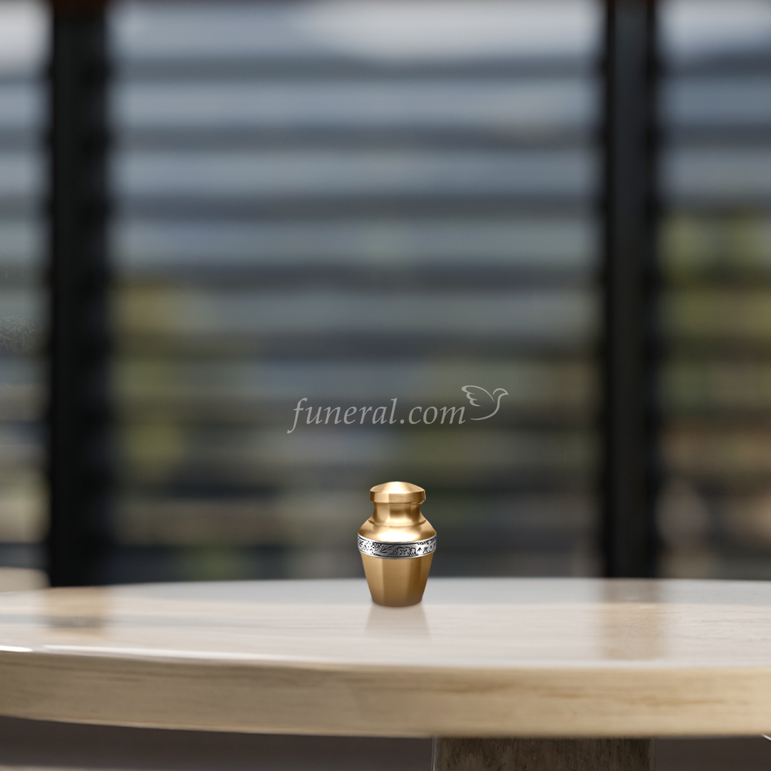 Anapiel Bronze Pet Keepsake Urn with Background