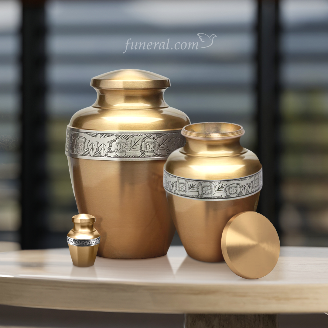 Anapiel Bronze Extra Large Pet Urn Set