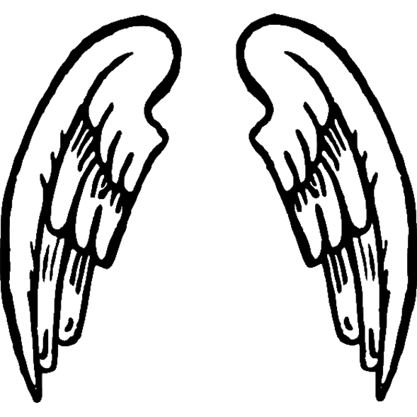 Angel wings