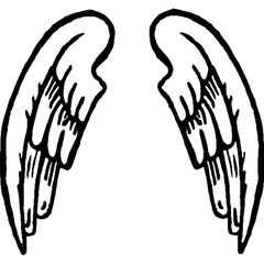 Angel wings