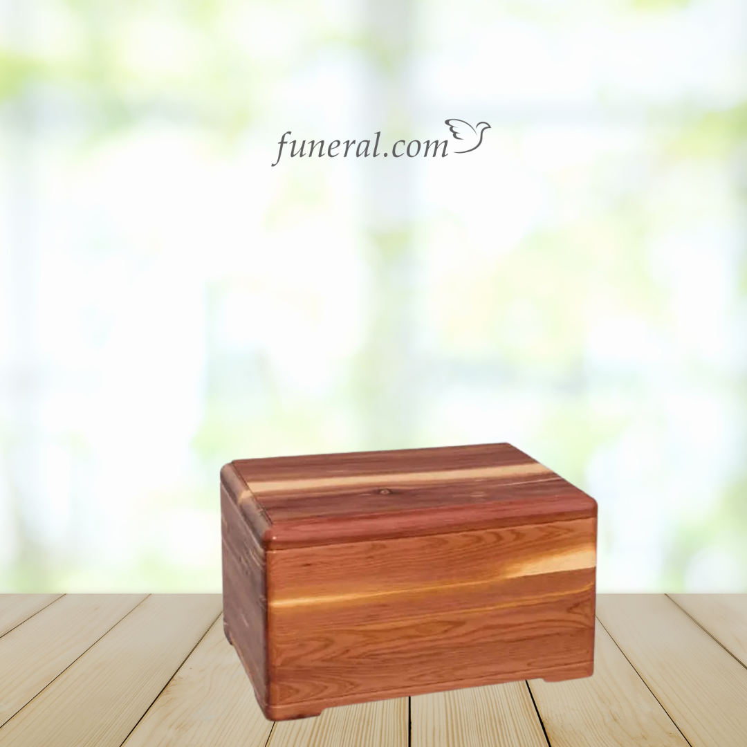 Cedar Adult Chest Wood Urn with Background