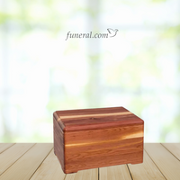 Cedar Adult Chest Wood Urn with Background