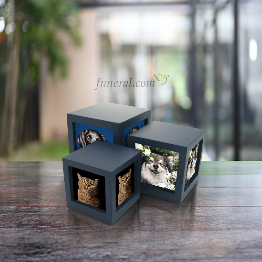 Cherish Today Navy Photo Cube Medium Pet Urn Set