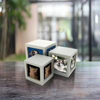 Cherish Today Silver Photo Cube Medium Pet Urn Set