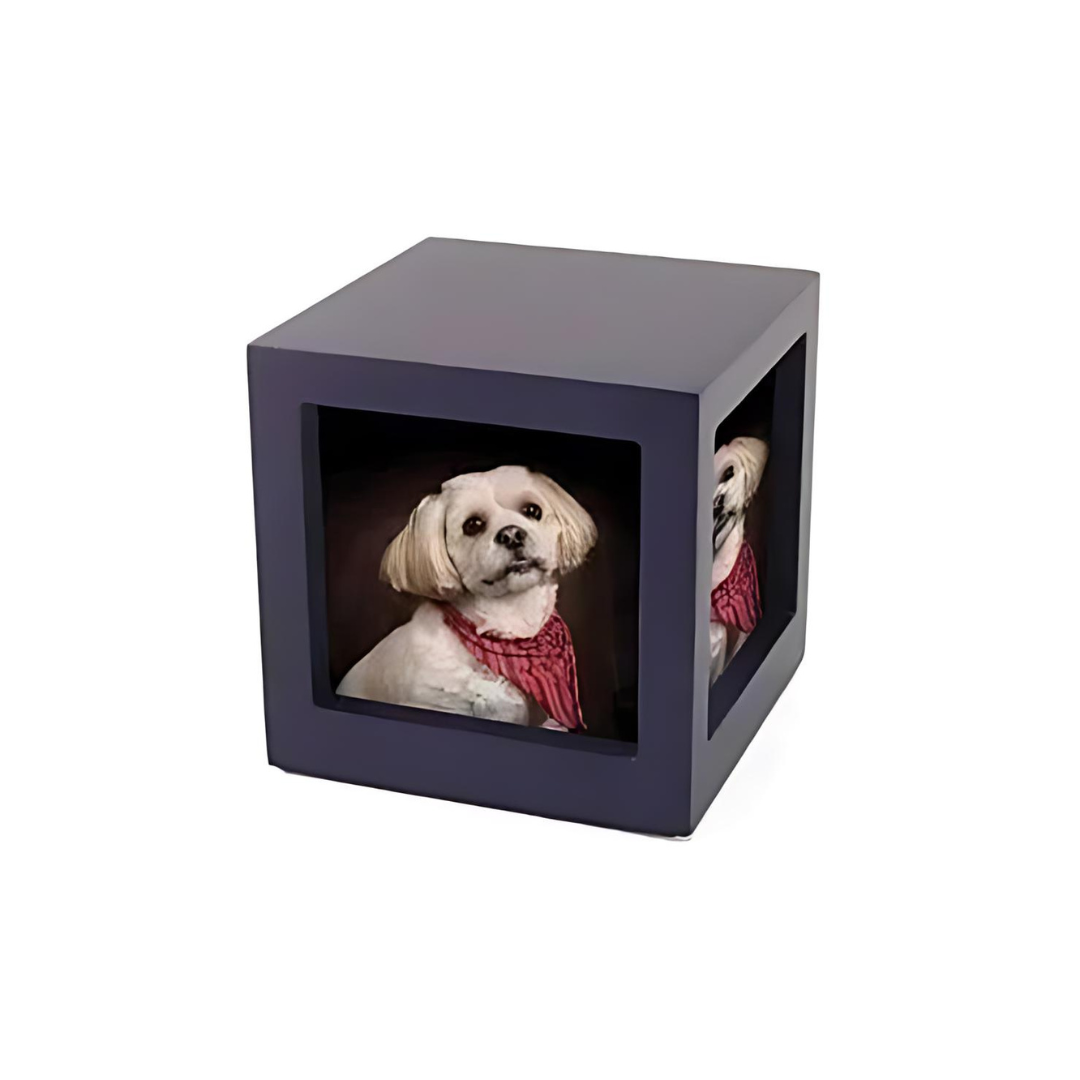 Cherish Today Violet Photo Cube Medium Pet Urn