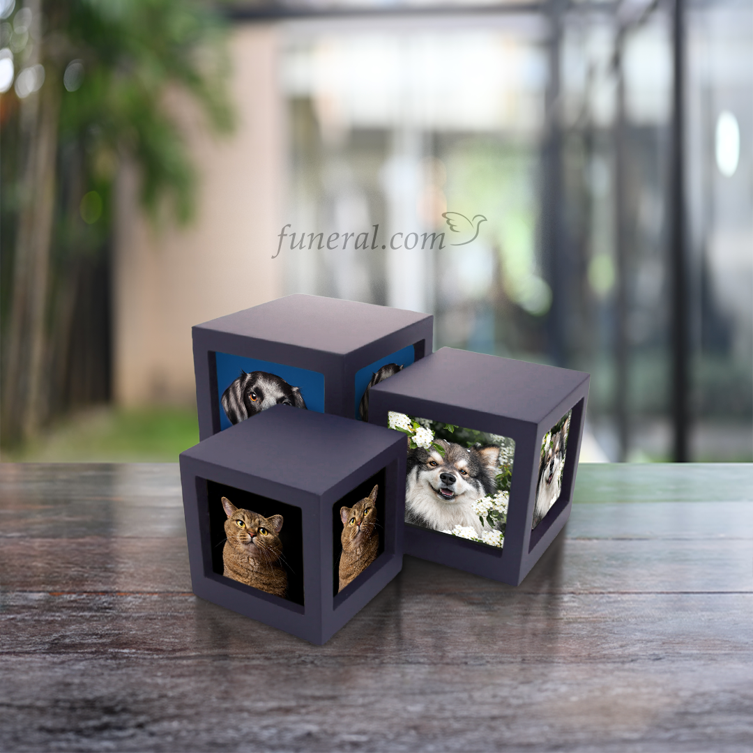 Cherish Today Violet Photo Cube Small Pet Urn