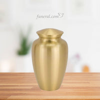 Classic Adult Bronze Urn with Background