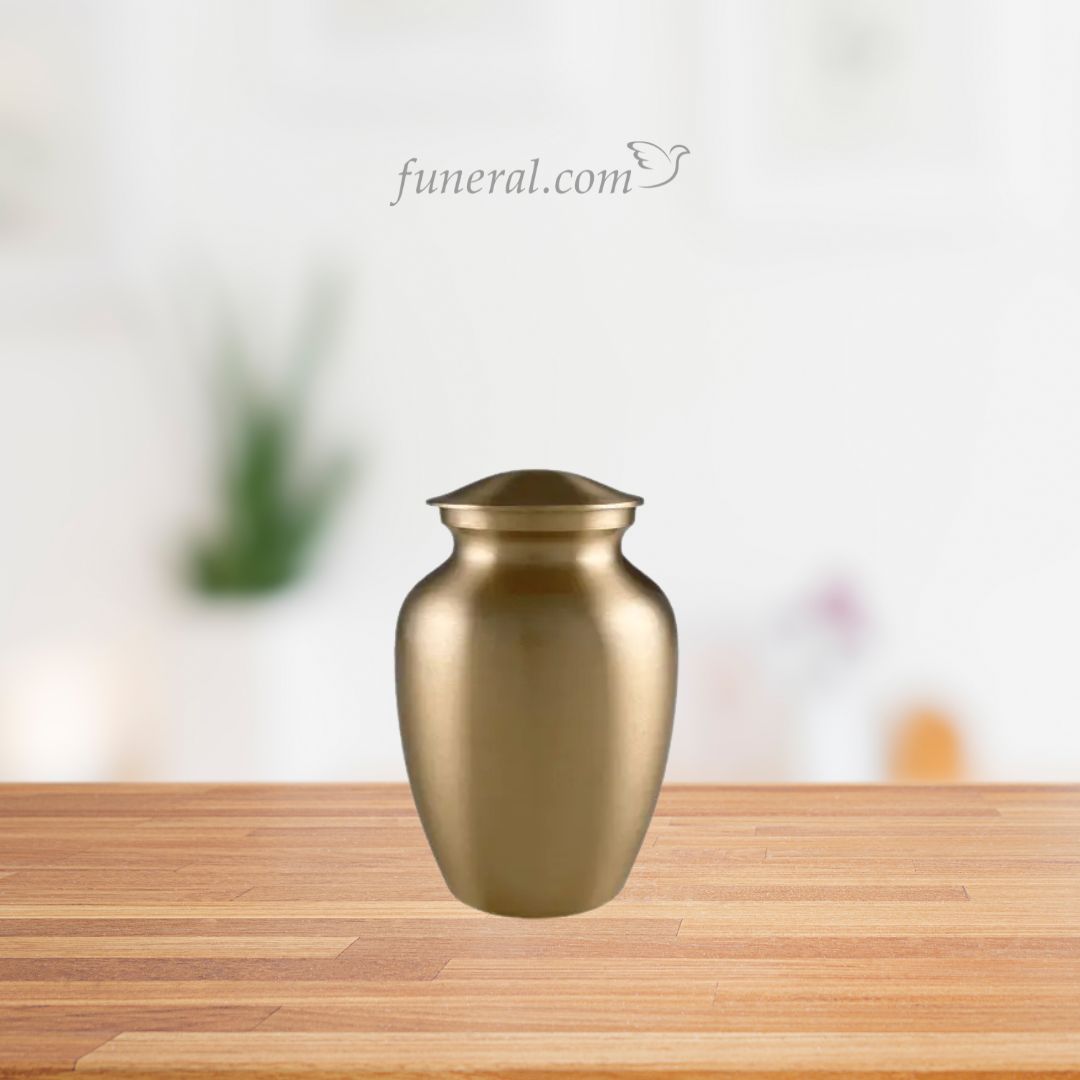 Classic Medium Bronze Urn with Background