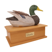 Male Duck Decoy Figurine on Extra Large Pet Urn on Oak Finish
