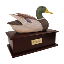 Male Duck Decoy Figurine on Extra Large Pet Urn on Walnut Finish