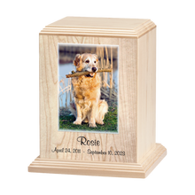 100 Cubic Inch Custom Color Pet Photo Wooden Cremation Urn
