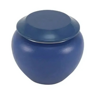 Eden Blue Small Pet Urn High-Resolution Image