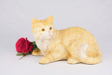 Cream & Light Orange Coat Shorthair Cat Figurine Pet Urn