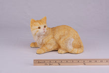Cream & Light Orange Coat Shorthair Cat Figurine Pet Urn