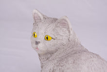 Gray Shorthair Cat Figurine Pet Urn