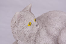 Gray Shorthair Cat Figurine Pet Urn