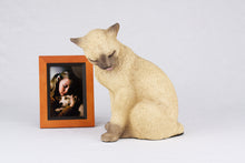Cream and Chocolate Point Siamese Cat Figurine Pet Urn