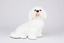 White Coat Bichon Frise Figurine Extra Large Pet Urn