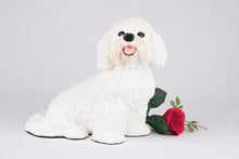 White Coat Bichon Frise Figurine Extra Large Pet Urn