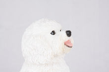 White Coat Bichon Frise Figurine Extra Large Pet Urn