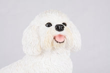 White Coat Bichon Frise Figurine Extra Large Pet Urn