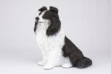 Black & White Coat Border Collie Figurine Extra Large Pet Urn