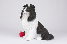 Black & White Coat Border Collie Figurine Extra Large Pet Urn