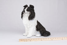 Black & White Coat Border Collie Figurine Extra Large Pet Urn