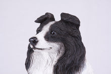 Black & White Coat Border Collie Figurine Extra Large Pet Urn