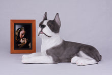 Brindle & White Coat Boston Terrier Figurine Extra Large Pet Urn