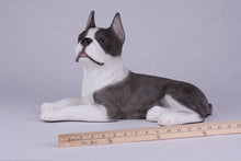 Brindle & White Coat Boston Terrier Figurine Extra Large Pet Urn