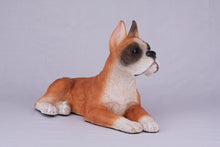 Fawn & White Coat Boxer with Ears Up Figurine Extra Large Pet Urn